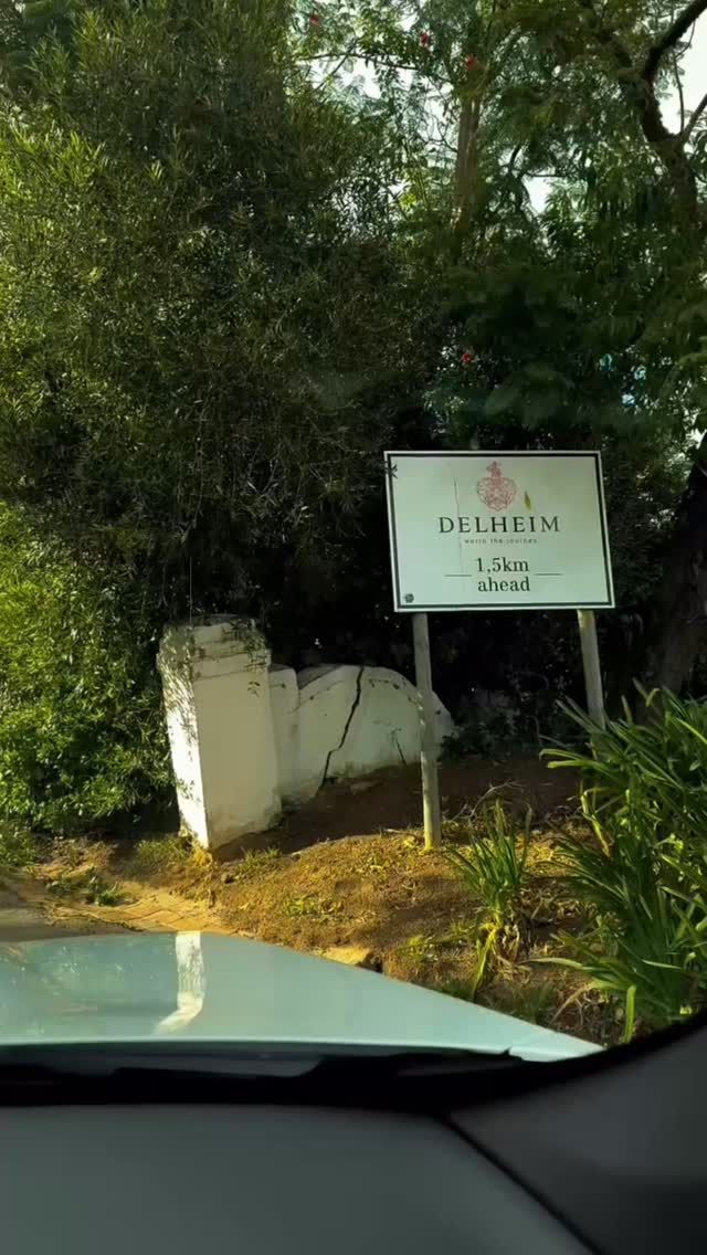 What an unforgettable day at Delheim Wine Estate for the Aleit Run!
It was a cold, crisp morning—but bursting with fun, laughter, and incredible energy. Friends, families, and runners came together for an incredible 5K and 10K through the vineyards, trails, woods, and mountains.

Huge congratulations to our top finishers:

🏃‍♂️ 10K Winners:
🥇 Louis Terblanche
🥈 Samuel van der Merwe
🥉 Nelis Strydom

🏃‍♀️ 5K Winners:
🥇 Mieke Labuschagne
🥈 Shaun Labuschagne
🥉 Jacques Bothma

A heartfelt thank you to all our incredible sponsors and to our fantastic MC, activejords , for keeping the spirit high!

And a special shout-out to Anika Bezuidenhout at Delheim Wine Estate—your support and dedication made this event truly special. We’re so grateful!

Here’s to more memories on the trails. 🍇🥂

OUR INCREDIBLE SPONSORS: 

@youthfulliving_international 
@redbullza
@delheimwines
@pinkvalleywines
@lechantwines
@vapadelclub_lourensford
@thirstiwater
@vitality_iv_
@lourensford 
@theoliostore 
@in2ition_sport
@versussocks 
@somersetwest_runcrew